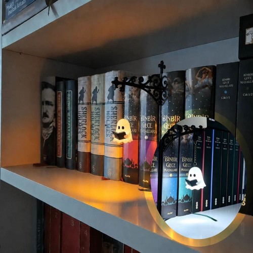 Bookshelf lamp - bookshelf, light