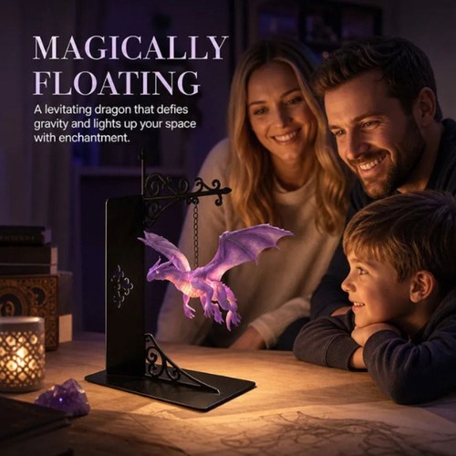 Library purple dragon - purple,