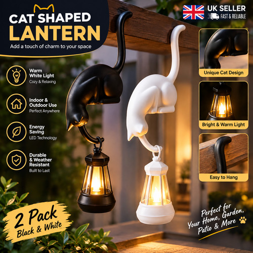 Cat bookshelf lantern light - cat,